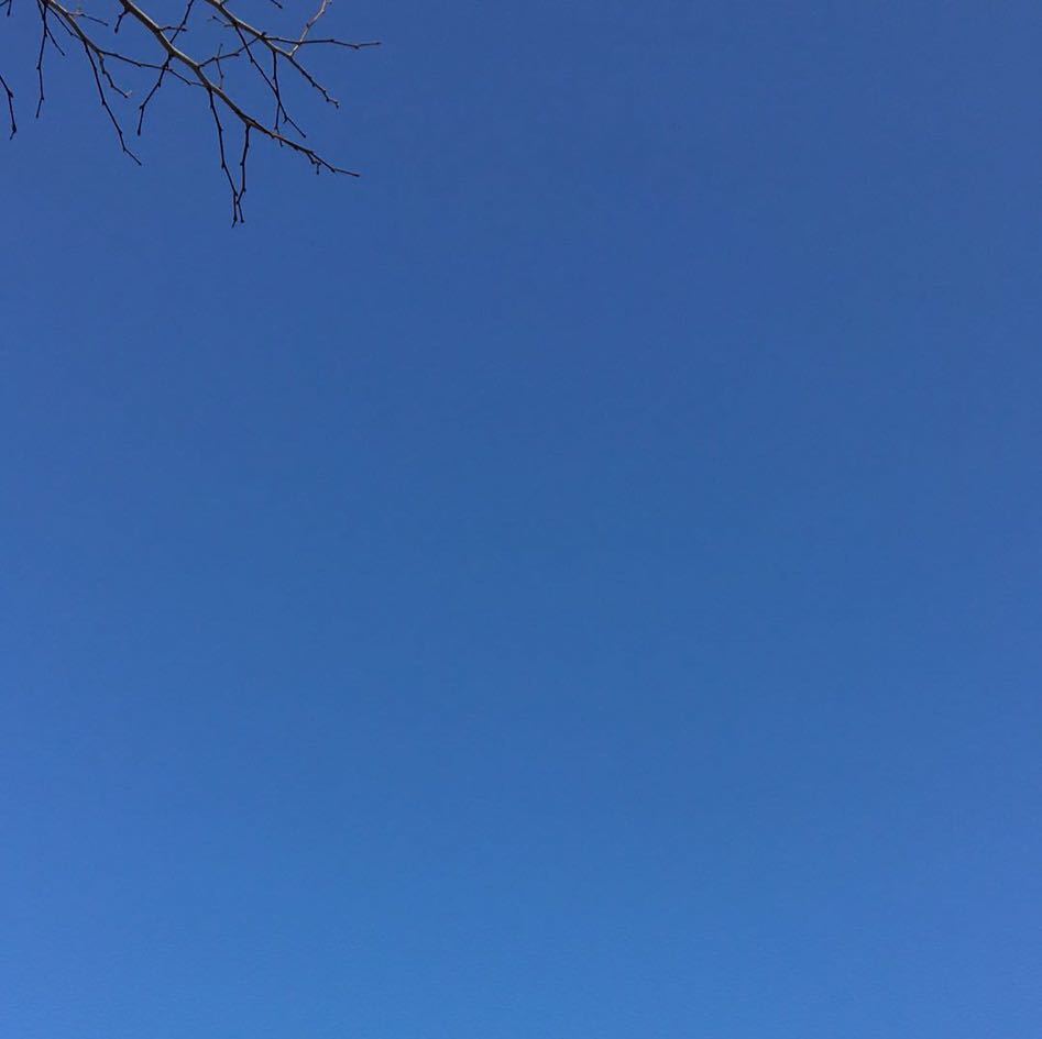 人间正道是沧桑