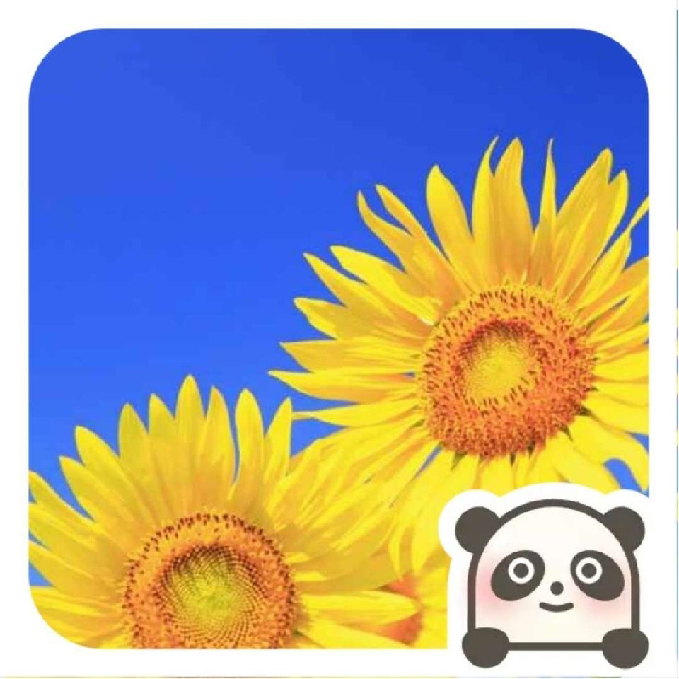 用戶頭像