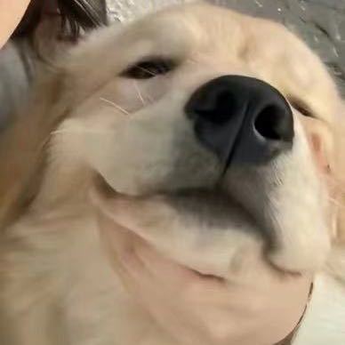 小王同志