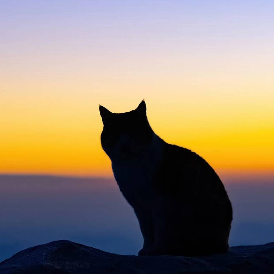 留恋那青春年华