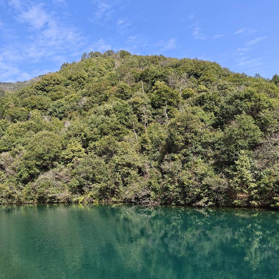 山花烂漫