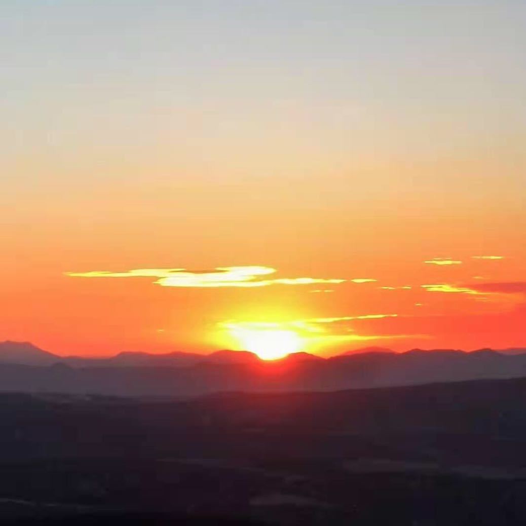 众诚实业联合众生