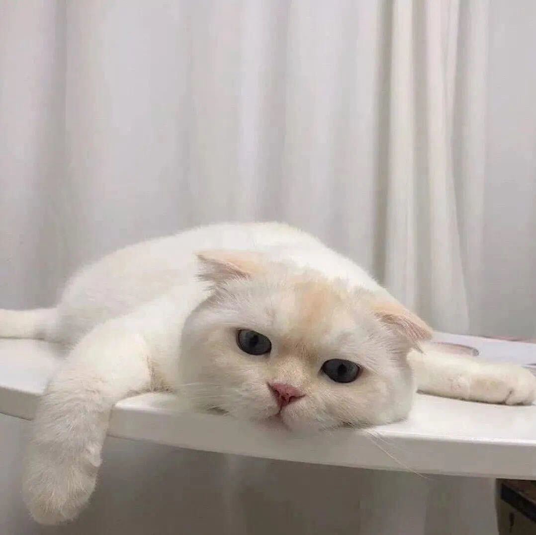 _yuuto