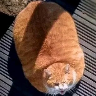 HAL