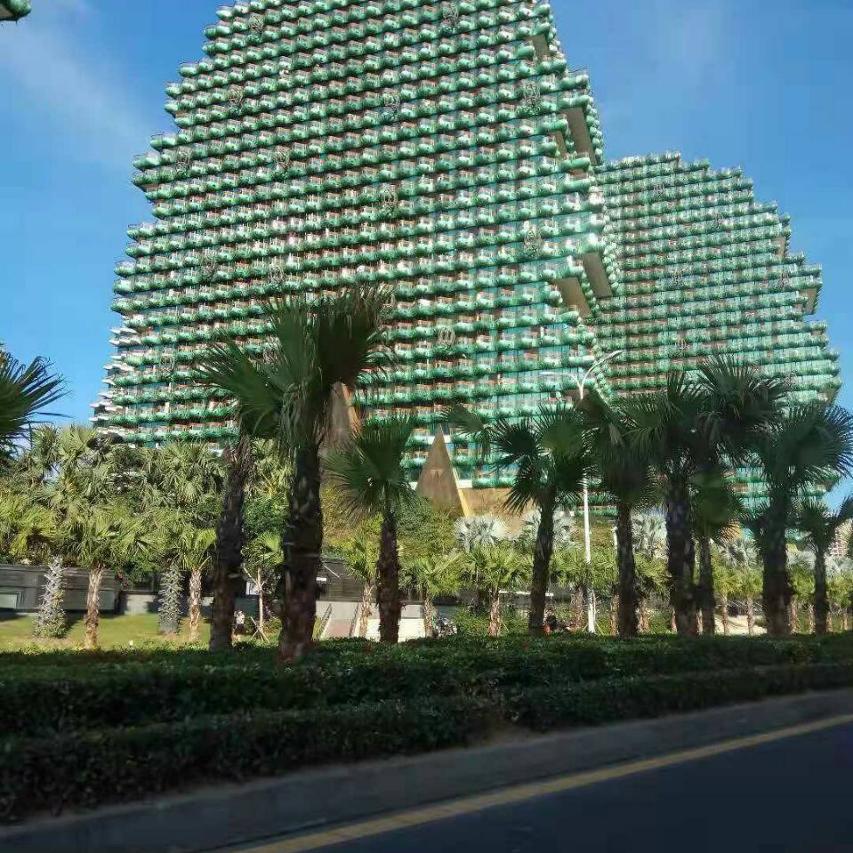 郑振沛