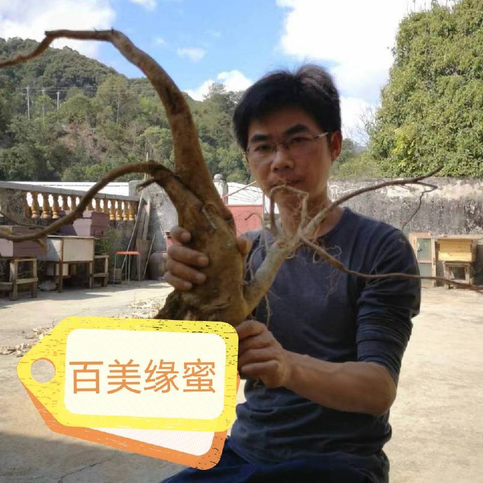 百美原蜜(冯金海)