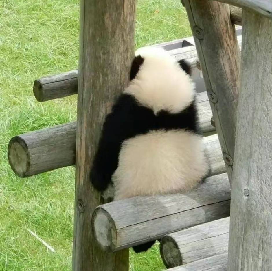 Z...zz.