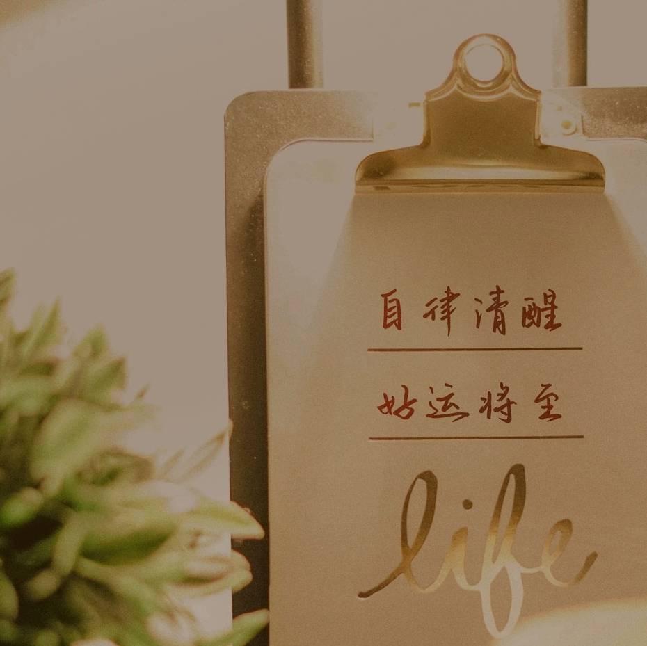 做一只会游泳的猫