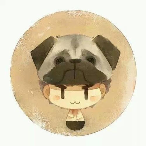 张俊～沃言狮子派～3毛代收