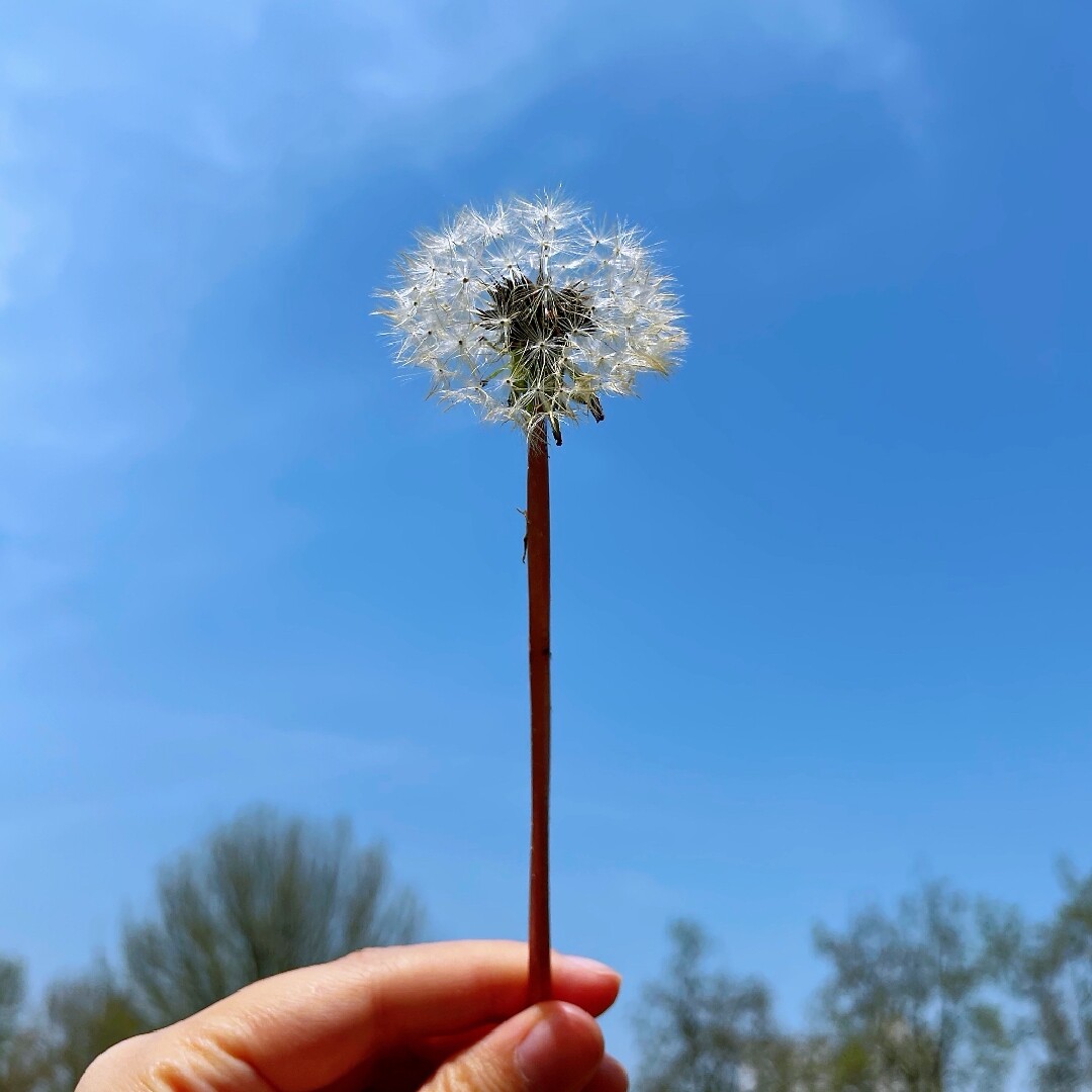 夏天