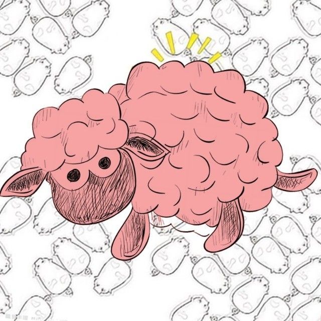 一群肥羊