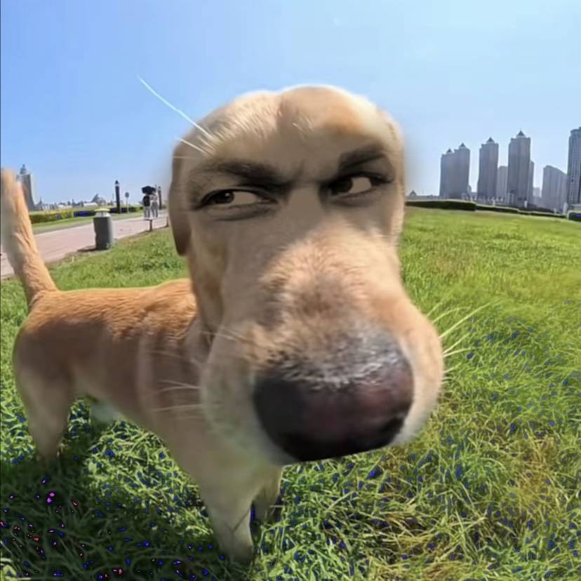 江南小笑生