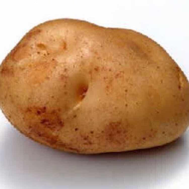 土豆