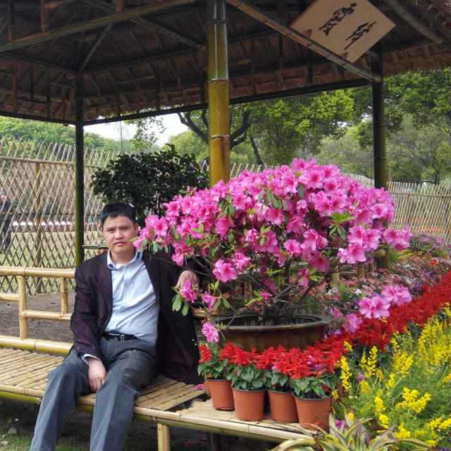 🚩红豆🚩