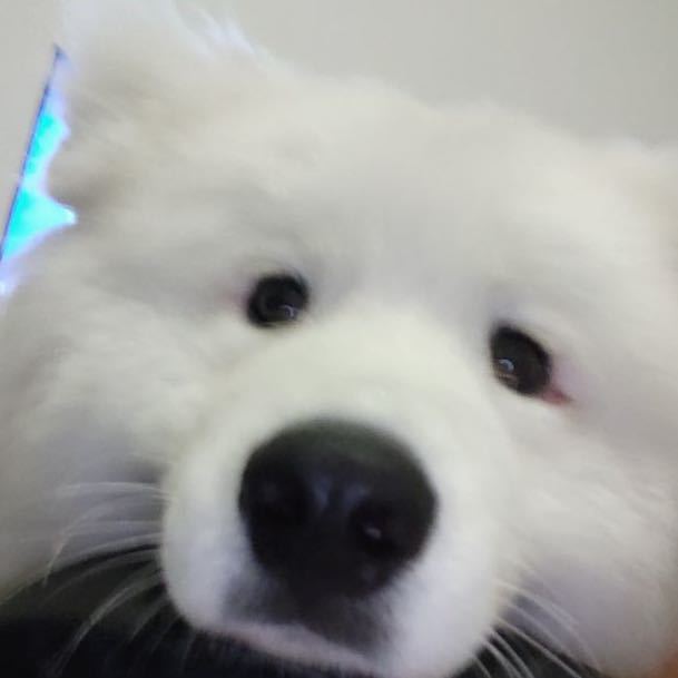 a.y