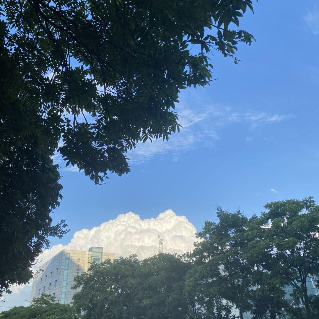 那边的海