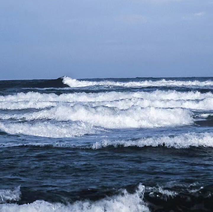 莫非