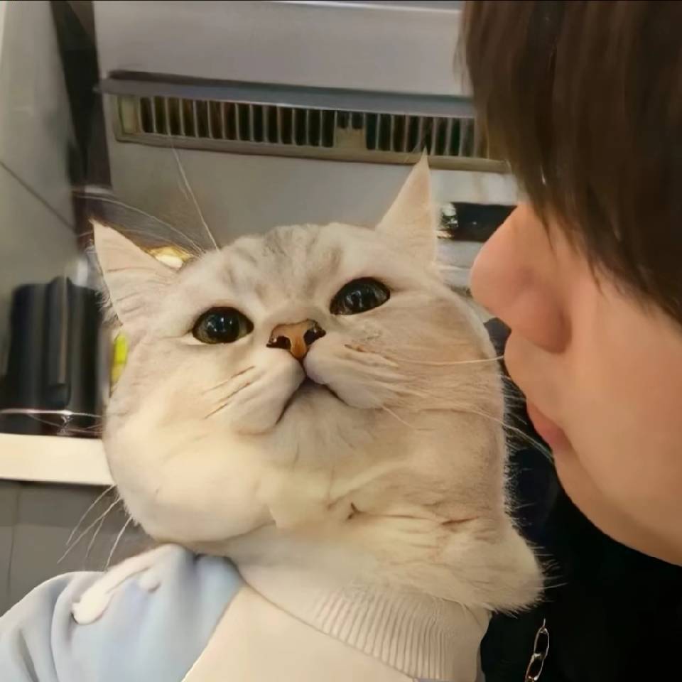 勿忘