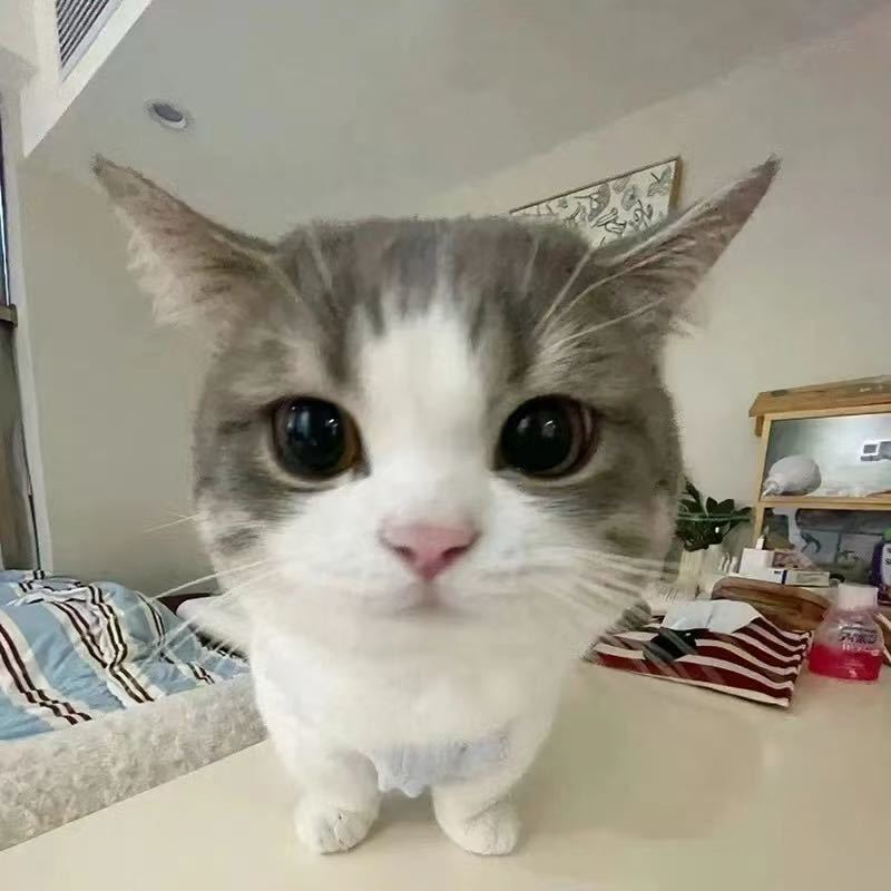 还有醋v
