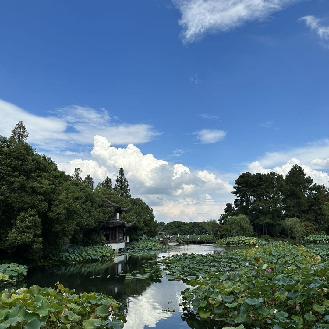 钟华琴