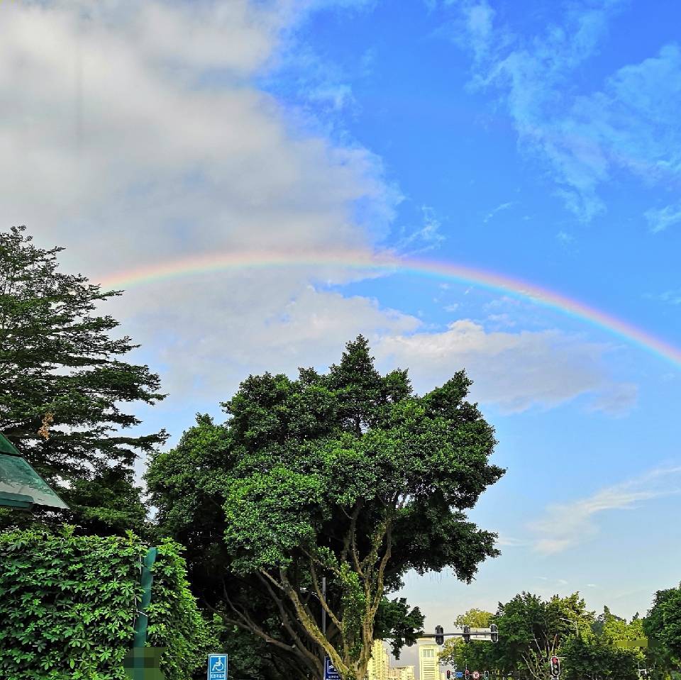 幸福简单🇨🇳