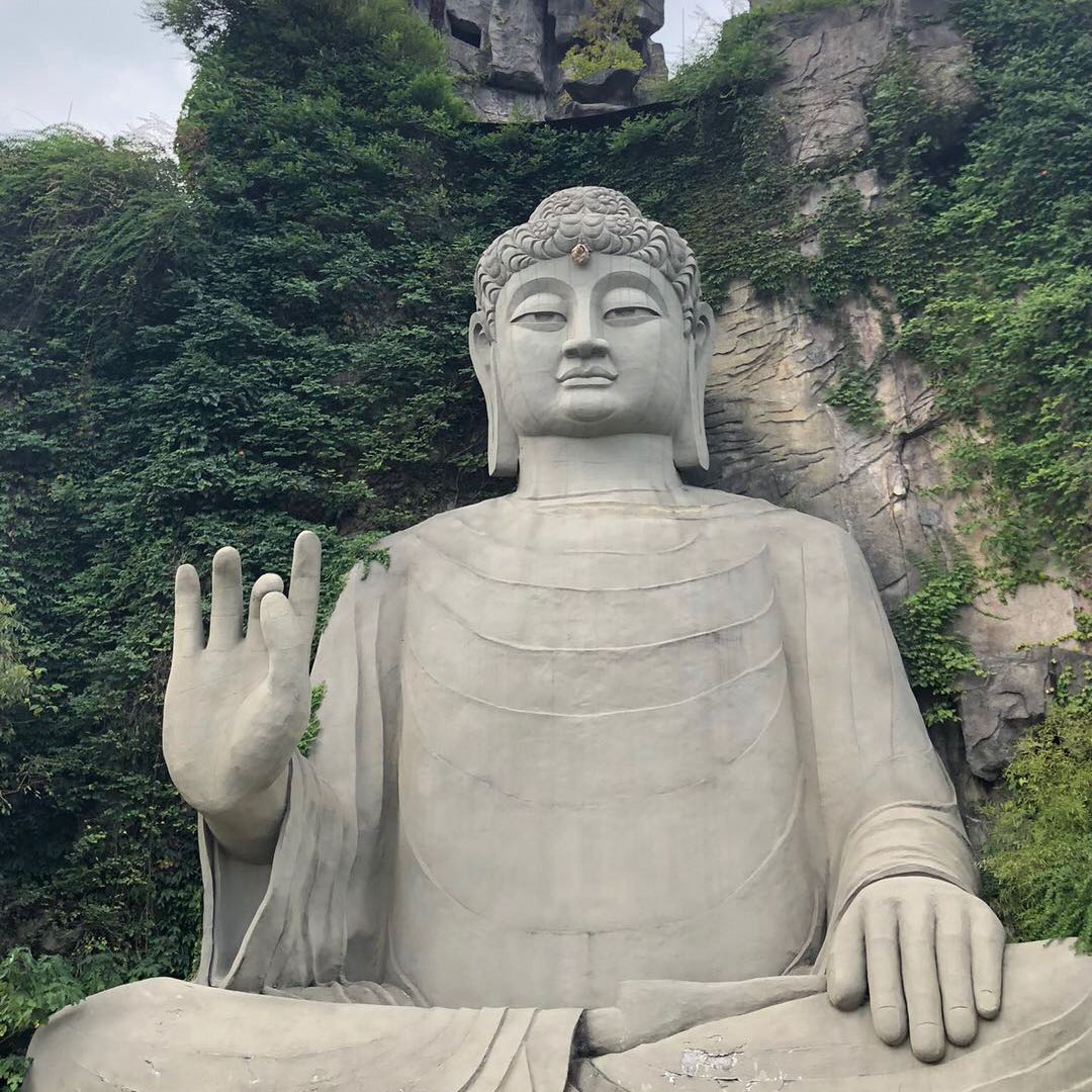 ZhouDaoJun（渝周郎）