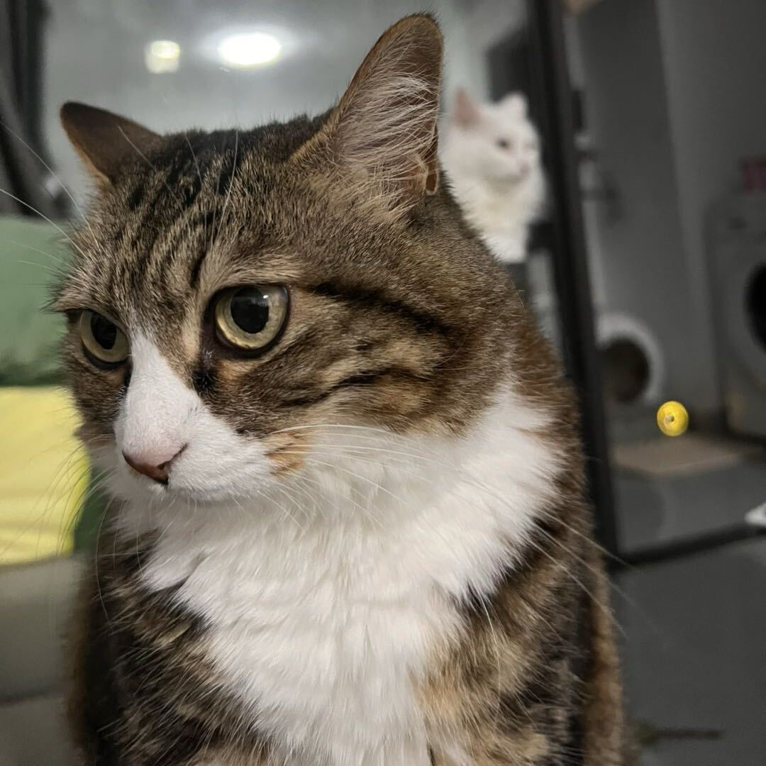 人生建议：爱我