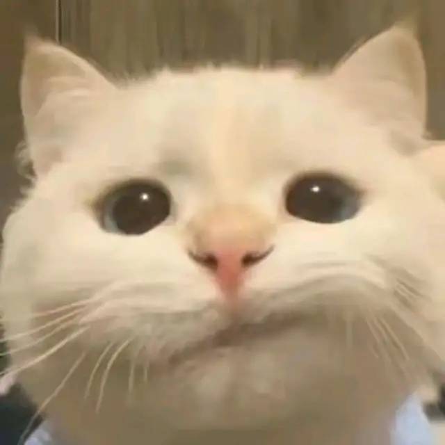 👿