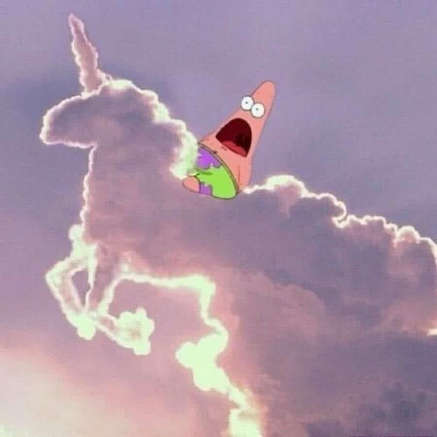 章鱼