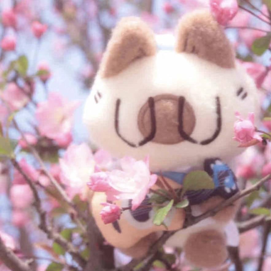 四时猫🍙