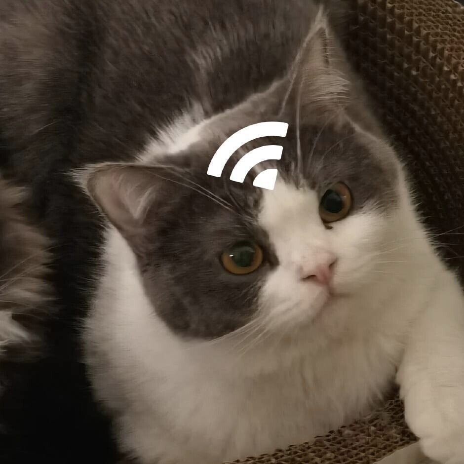 小熊猫🎐