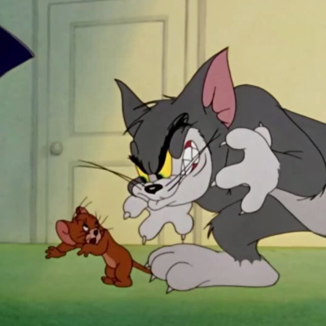 猫抓老鼠游戏