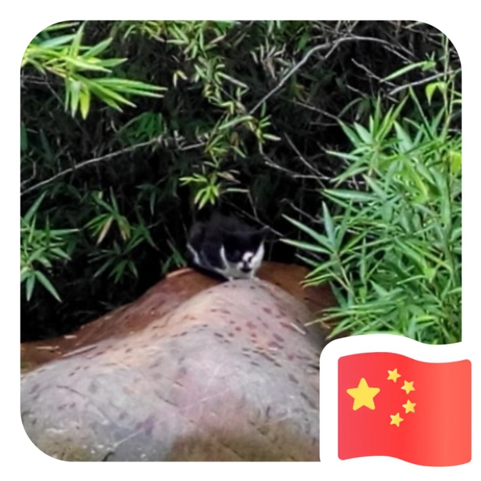 刘海