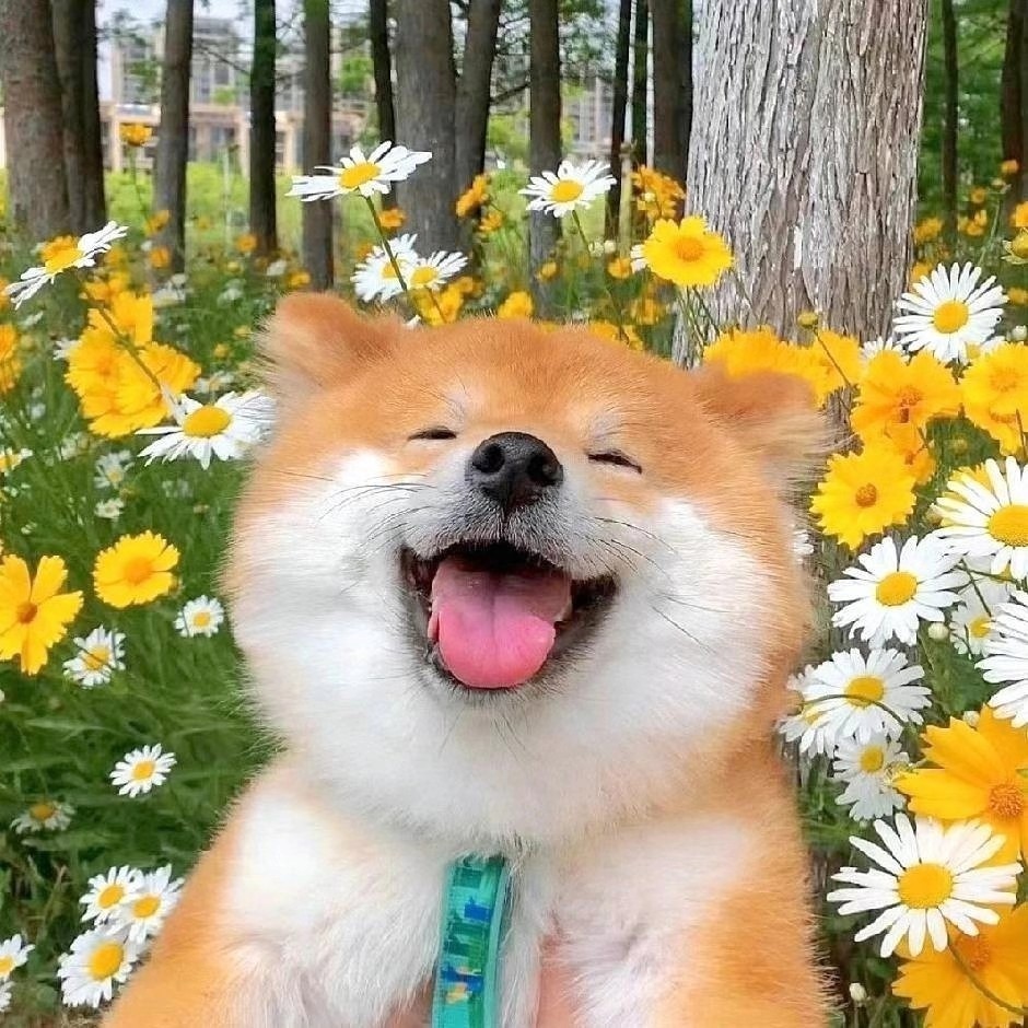 张瑶