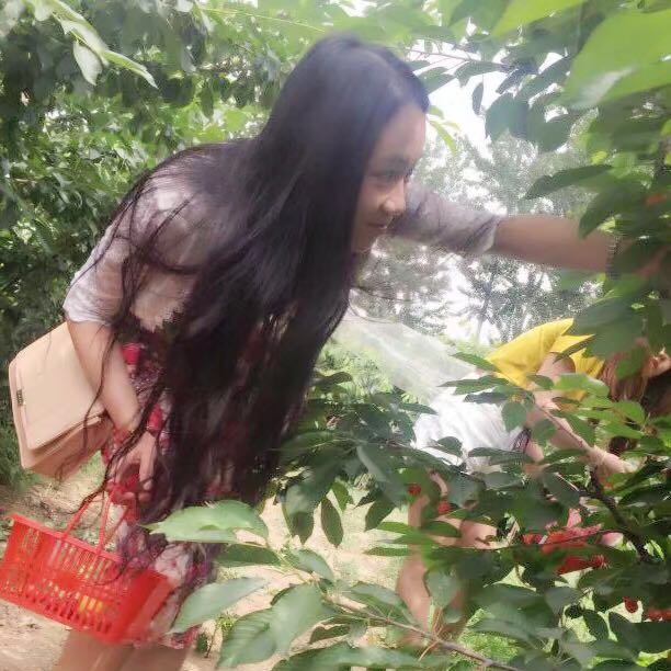 用戶(hù)頭像