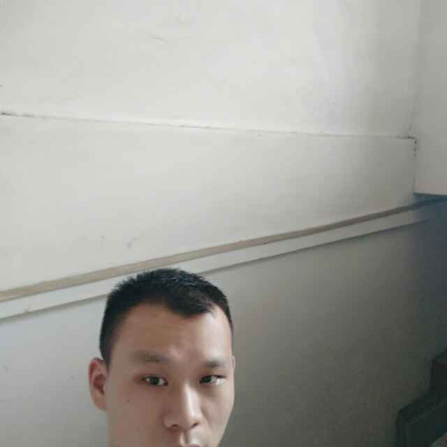 波波