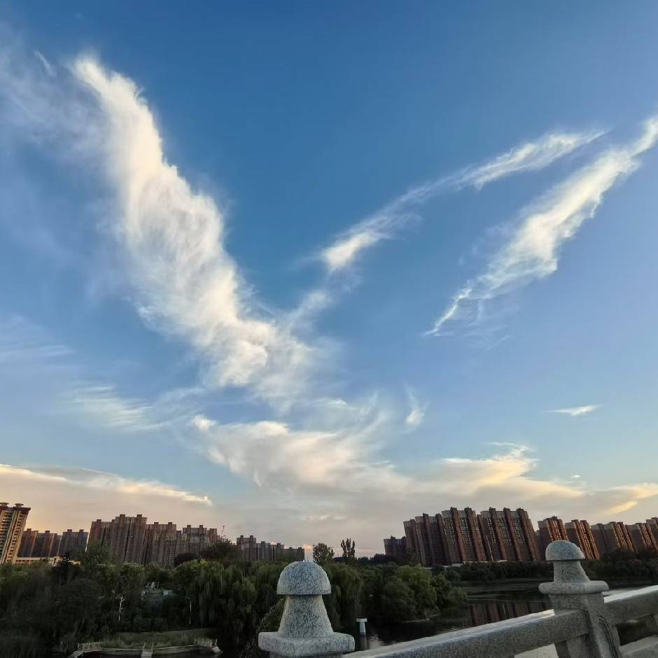 拒绝拖延症