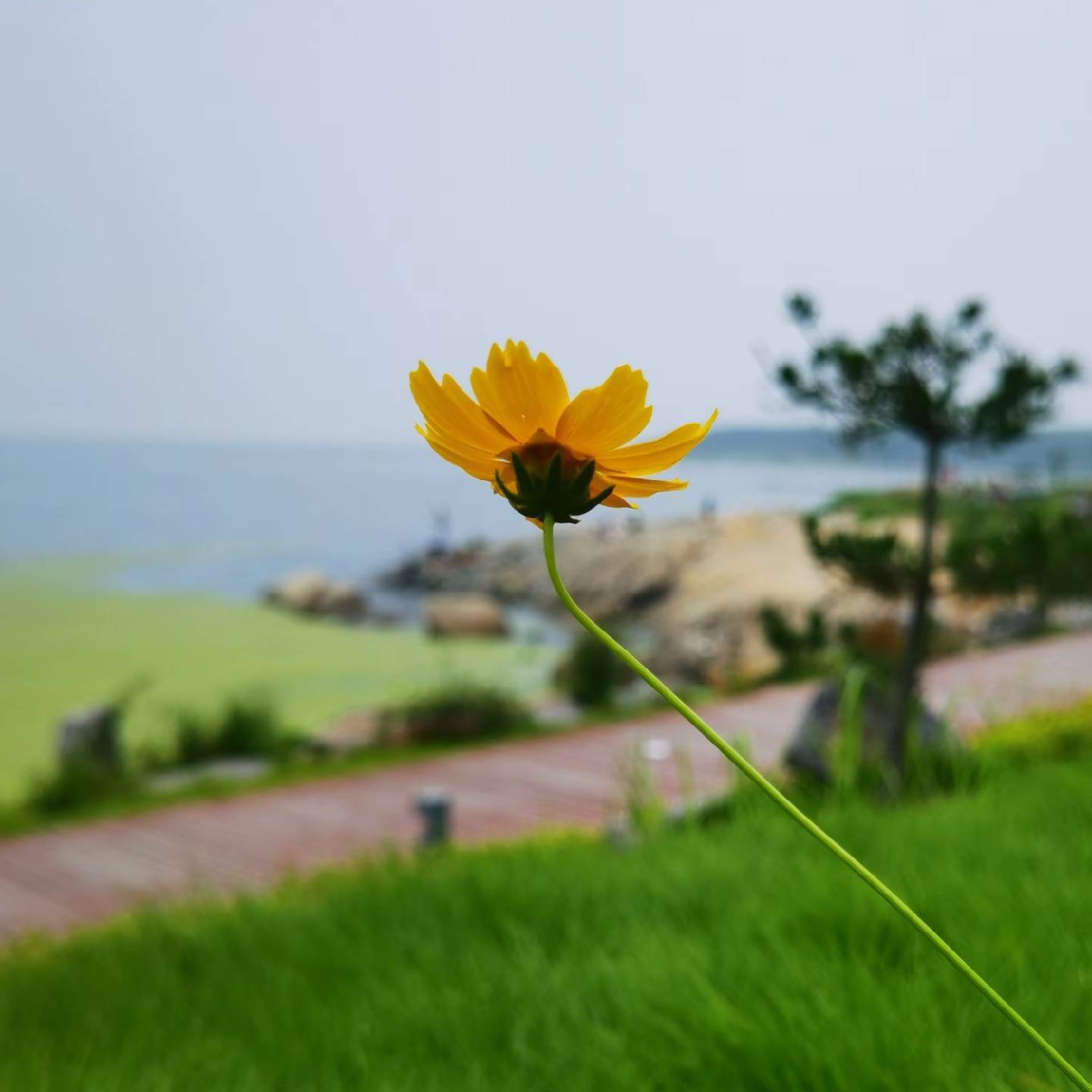 一笑皆春