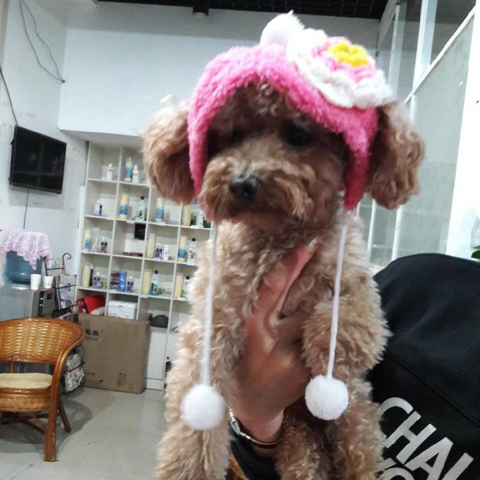 🌸微笑向暖🌸