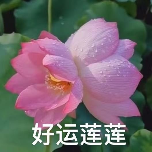 品轩