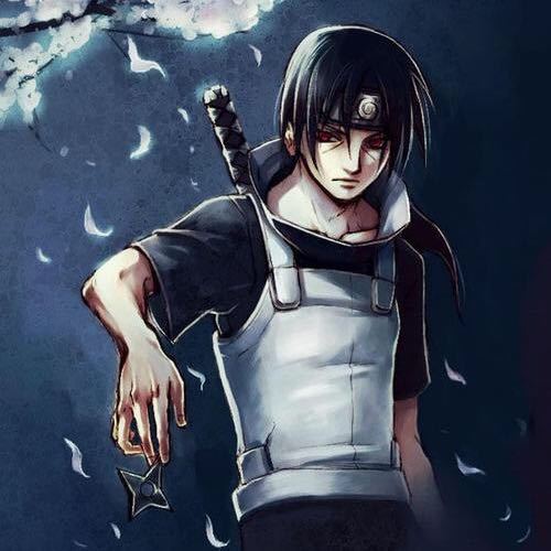 禄帅（hansome lu)