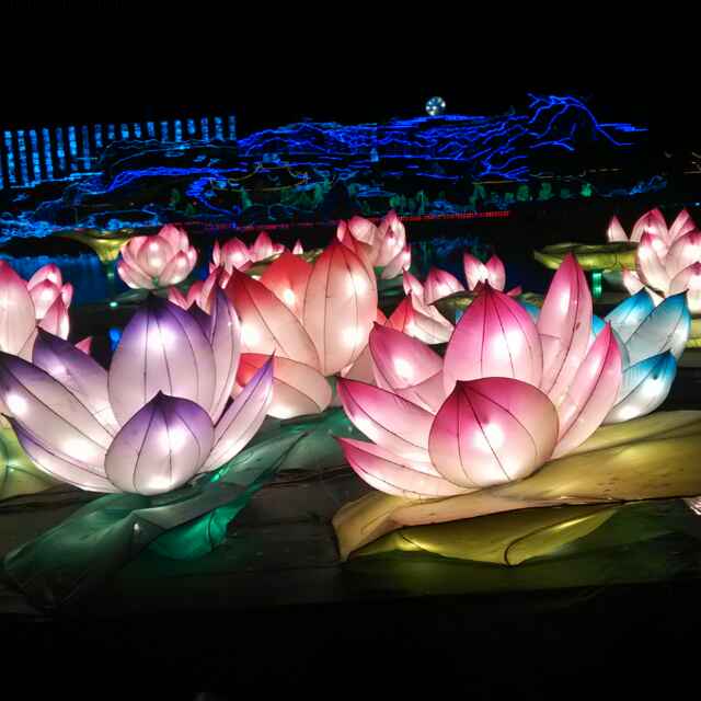 用戶頭像