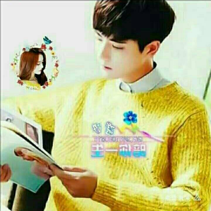 19817653792张利蔚