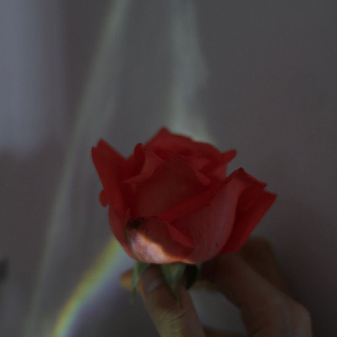 ʚ环游无趣ɞ