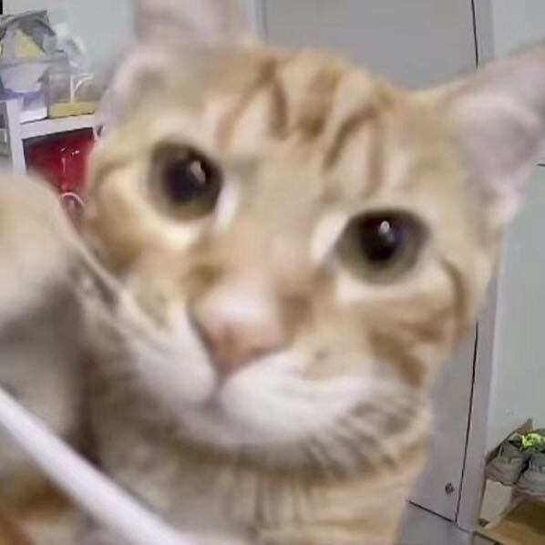 Fang