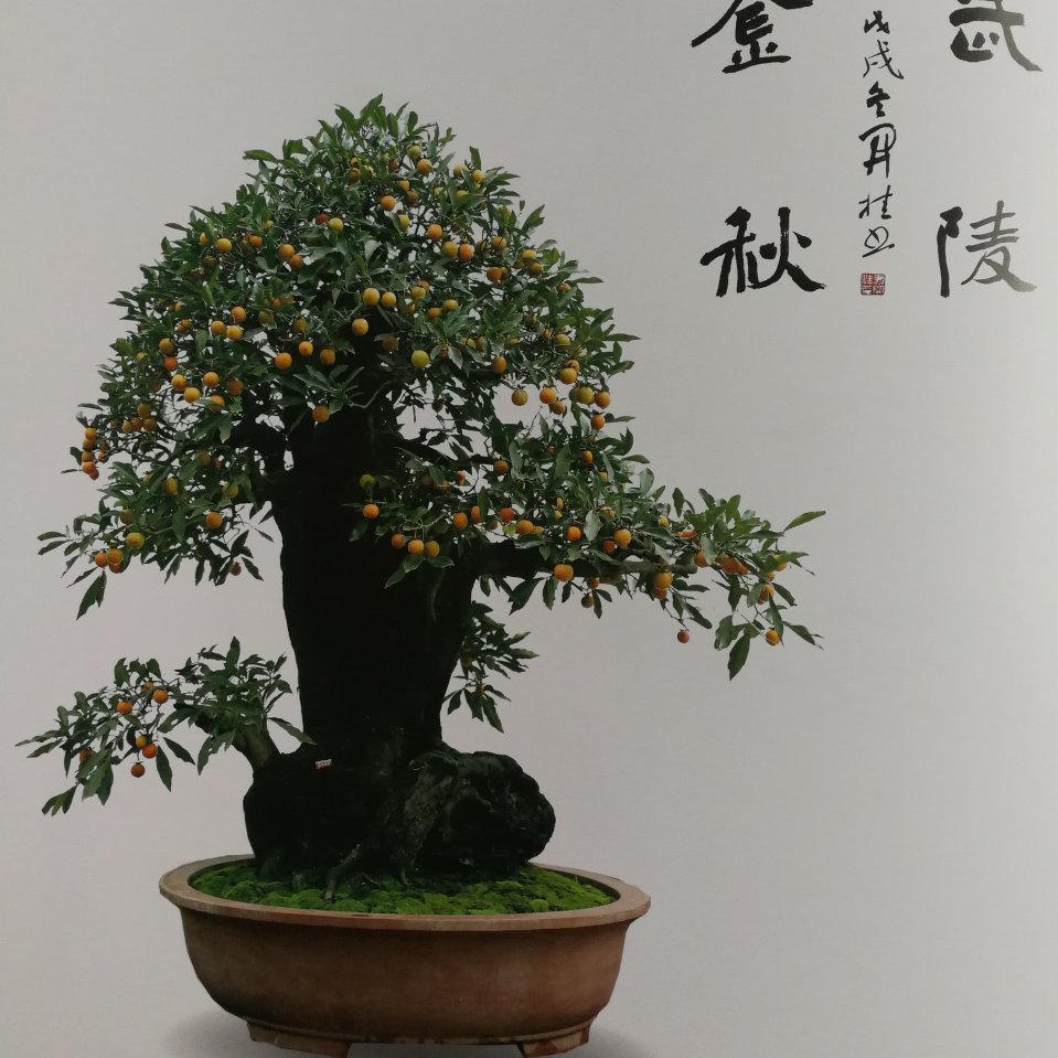 冯勤光