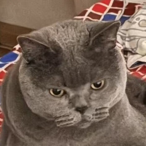 兔子熊猫考拉泽