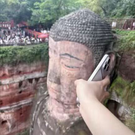 罐梨脆紫柿