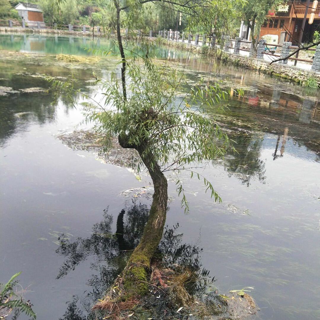 鸿达