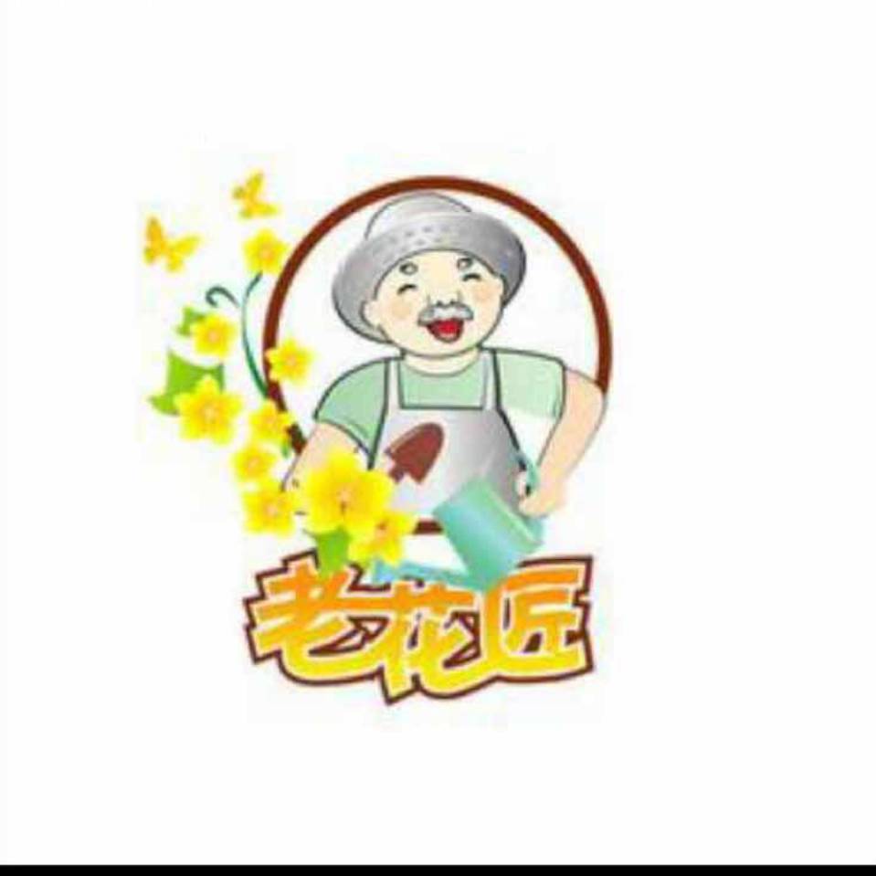 老花匠园林绿化13713767719
